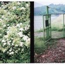 어둔저수지 이미지