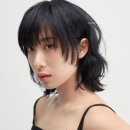 디어젤리 이미지