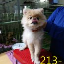 주안동로 이미지