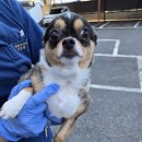 빅힐모텔 이미지