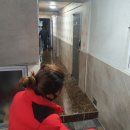 동내정화조