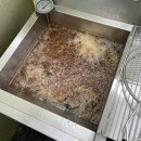 동면농장 | [경기/연천] 겨울철에만 즐길 수 있는 북방산개구리 구이 튀김 내돈내산 후기💸