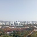 바람이 엄청나게 불어요 이미지