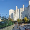 서울준플란트치과의원 이미지