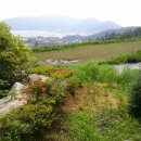 남해황토가 이미지