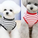 마린블루'S 이미지
