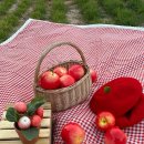 은영가족농장 이미지