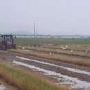 들녘 옷 이미지