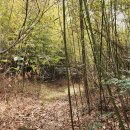 용산-79 이미지