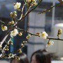 꽃샘길 화장실 이미지