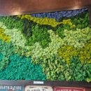 스타아울렛 | [파주 신세계 프리미엄 아울렛 카페] 슬로스타임 후기