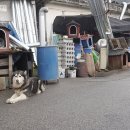 광릉5일장 이미지