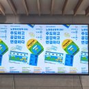 청년약국 | 서울청년센터 노원 청년의 날 후기!!