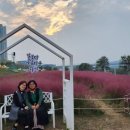 동서농장 이미지