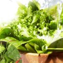 거시기농원 이미지