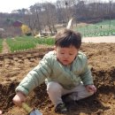 구항농장 Daum카페