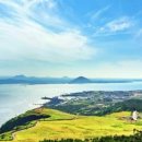 대성목장2 이미지