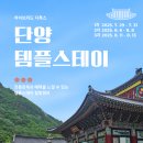스테이 담아 | 단양템플스테이 후기 여름방학캠프로 와이낫투어 다녀온 솔직 후기