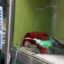 닥터홍 동물병원 이미지