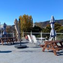 서상동117 | 김해 수로왕릉 카페, 서상동 브런치, 수로왕릉 돌담 뷰 - 미드테이블