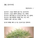 선한 사마리아인에 대한 이야기는 인종,민족주의,종교적 편견에 대한 하나의 강력한 공격이다(연중제15주일25.7,13강론) 이미지