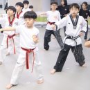 C&J 태권도장 이미지