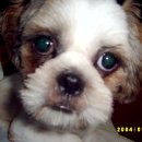 사림동140 이미지