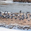 오대주유소 이미지