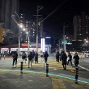 신호등 이미지