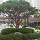 부영아파트 네이버블로그