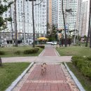 선천들공원 이미지