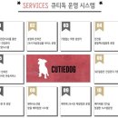 힐링댕 네이버블로그