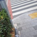 스타벅스 앞 횡단보도 이미지