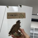 혜화동돈까스극장고양탄현점