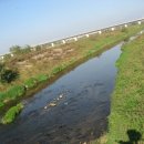 교가5리 이미지