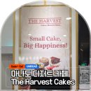 하베스트베이커리 | 인도네시아 마나도 더 하베스트(The Harvest Cakes), 프리미엄 디저트 카페 케익 커피 추천