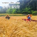 익산농장 | 밀새싹과 자연이 어우러지는 치유농장, 익산 밀새싹 힐링팜 방문후기”
