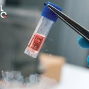 (주)이에이치엘 이미지