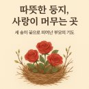 사랑이 머무는 둥지 네이버블로그