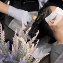 결고은뷰티 - 113474 | 결고은뷰티