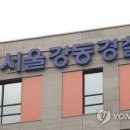 [단독] 횡단보도 건너던 70대 여성, 우회전하던 덤프트럭에 치여 사망 이미지