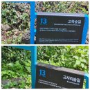 오름민박 | 담력훈련 하고 싶다면 제주올레13코스 걷기.제주 짜장면 맛집/저지오름 반점