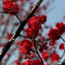 비산농장 이미지