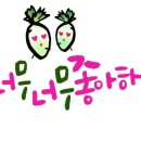 마카롱J