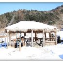 메밀사랑 이미지