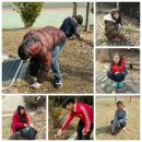 대관초등학교 이미지