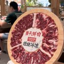 옥과두부 | 상하이 여행 훠궈 인생맛집 난징동루 좌정우원