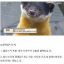 H2860 이미지