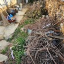 고향의 기와집 | [군산유품정리 군산고향집처분 군산빈집정리] 군산 고향 집 마당 청소해 드렸어요.