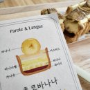파롤앤랑그 네이버블로그
